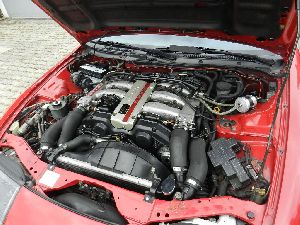 7_DSCN1641[1]