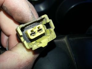 22_1624333_426562104113139_1806441621_n